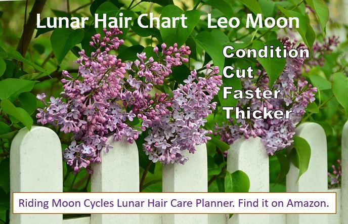 Lunar Hair Chart 2016